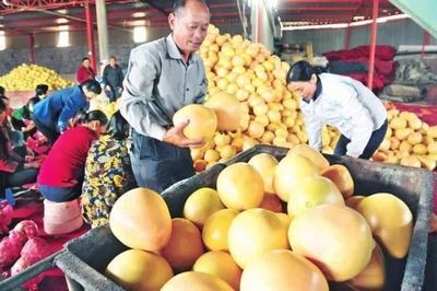 厲害了！湖北19個特產受國家保護，以你家鄉命名食用農產品批發